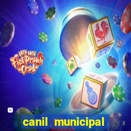 canil municipal porto alegre